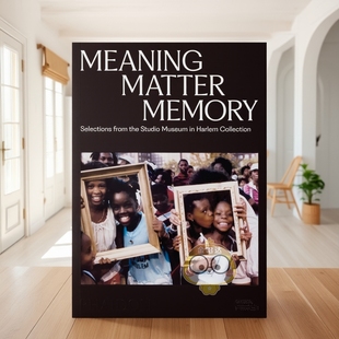 【预售】意义与记忆：哈莱姆工作室博物馆藏品选集 Meaning Matter Memory 原版英文艺术画册画集进口书籍图书外版正版