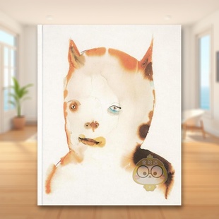 洛杉矶艺术家Jon 书精装 外版 Huck HatJon Drop Huck英文艺术家艺术工作室进口原版 the Ic书 HuckThe 14岁以上Jon 预售