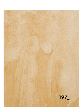 【预售】挖掘：穿越遗失的旅程 Excavation : A Journey Through Loss 英文原版进口图书外版书籍摄影