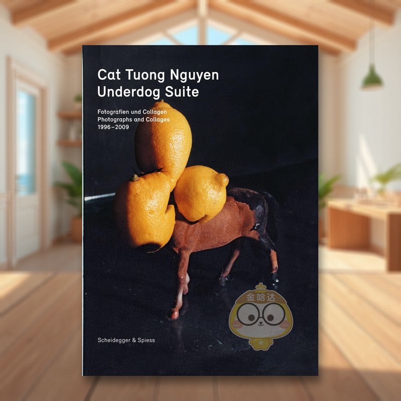 逆袭者组曲：1998-2009