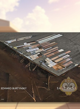 【预售】爱德华·伯汀斯基：盐 Edward Burtynsky: Salt Pans: Little Rann of Kutch 原版英文摄影作品集进口书籍图书外版正版