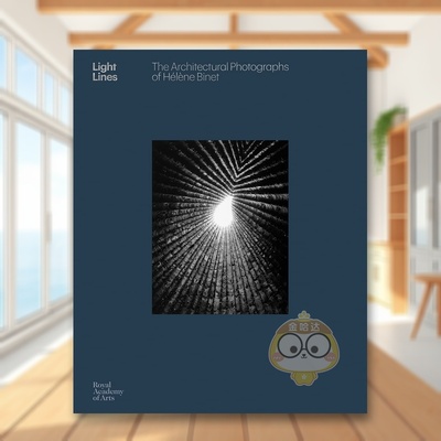 【预售】光线：埃莱娜·比奈的建筑摄影作品 Light Lines: The Architectural Photographs  原版英文摄影作品集人文景观