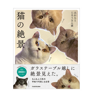 喵星人写真集 猫之绝景 Twitter超两百万人气宠物摄影集 ＫＡＤＯＫＡＷＡ 进口图书拍摄技巧 日文原版 现货