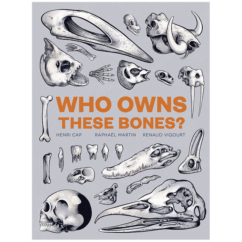 who owns these bones? 这些骨头是谁的?英文原版儿童趣味认知 7-12岁