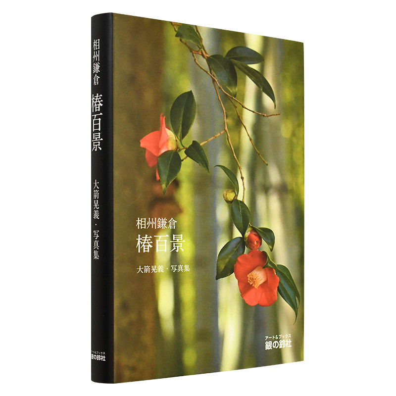 相州镰仓 椿百景 相州鎌倉 椿百景 进口日文原版 山茶花 旅行 摄影