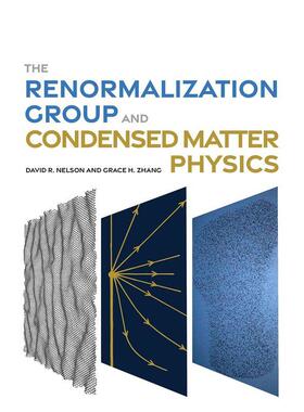 【预售】重整群理论与凝聚态物理学 The Renormalization Group and Condensed Matter Physics 原版英文社会科学