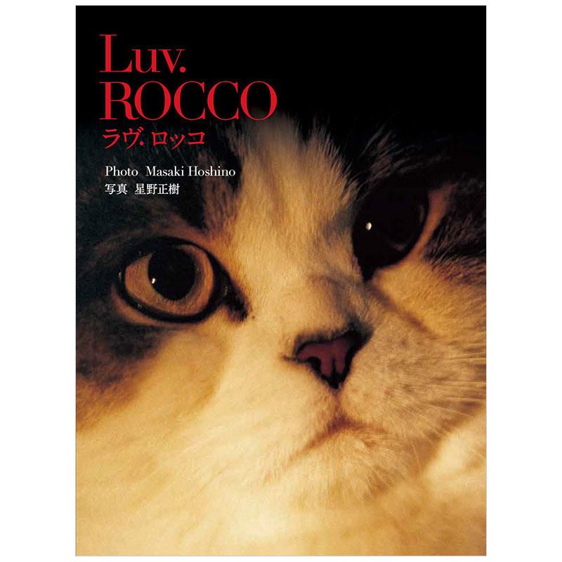 rocco爱猫洛可 星野正樹摄影集