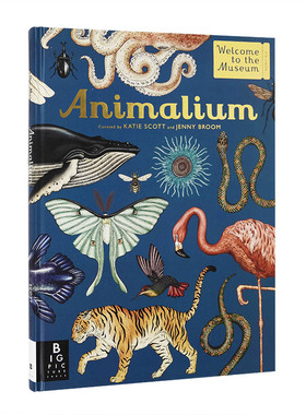 【现货】【欢迎来到博物馆】动物馆 【Welcome to the Museum】Animalium 英文原版儿童知识科普百科绘本3-6岁进口英语启蒙读物