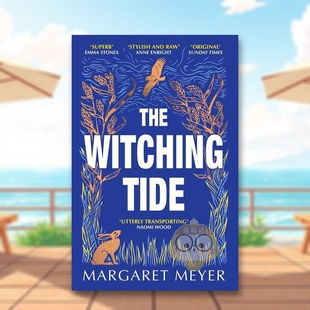 Witching Phoenix书籍图书正版 巫术之潮英文文学小说进口原版 Meyer Margaret Tide 14岁以上The 书平装 外版 预售