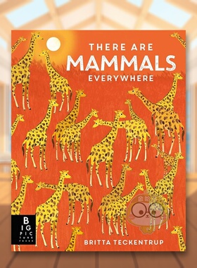 【现货】随处可见的哺乳类动物英文儿童绘本IP系列进口原版外版书精装3岁-6岁There are Mammals EverywhereBrittaTeckentrupBig书