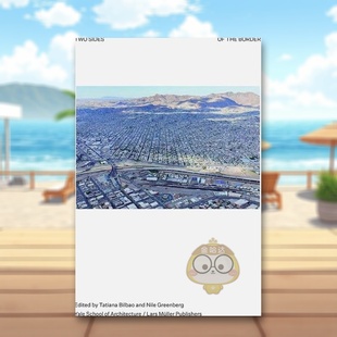 【预售】边界的两面：重新构想该地区 Two Sides of the Border: Reimagining the Region 原版英文城市规划进口书籍图书外版正版