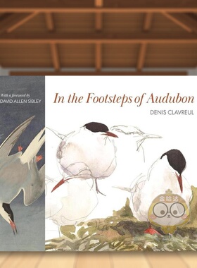【现货】追随奥杜邦的脚步In the Footsteps of Audubon英文插画原画设定集John James AudubonPrinceton University Press精装进