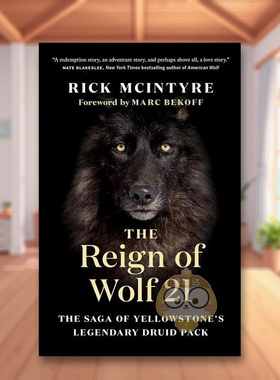 【现货】狼21The Reign of Wolf 21英文社会科学Rick McIntyre精装Greystone books进口原版书771645249书籍图书外版正版