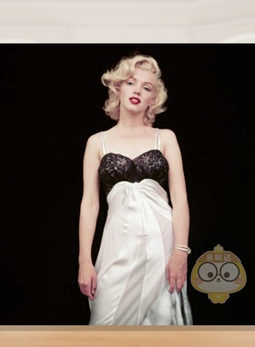 【预售】玛丽莲?梦露精选集 The Essential Marilyn Monroe 原版英文摄影作品集肖像进口书籍图书外版正版
