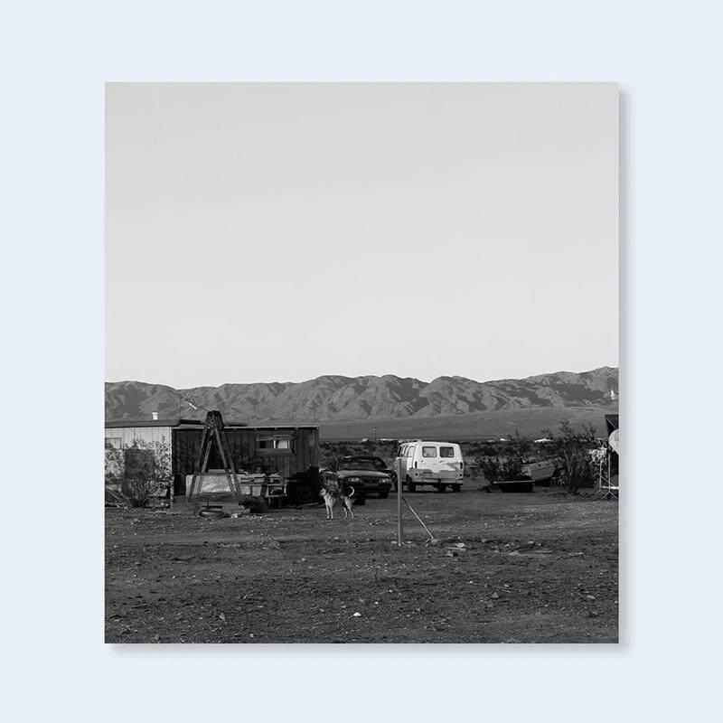 【现货】约翰·迪沃拉|沙漠中追逐我车的狗JOHN DIVOLA | Dogs Chasing My Car in the Desert英文进口原版摄影集外文图书JOHN DI