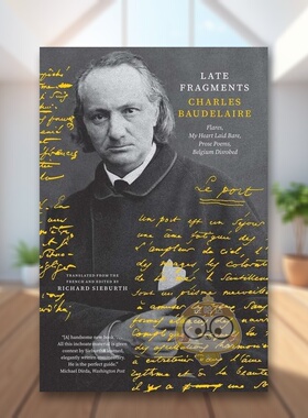 【预售】晚期碎片：耀斑、赤裸的心、散文诗、可怜的比利时英文文学诗歌进口原版外版书简装Late Fragments: Flares, My Heart L书