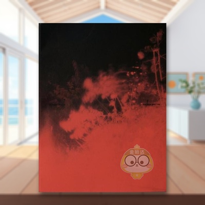 【现货】破碎的河Broken Spectre法文摄影Richard MosseLoose Joints进口原版书912719433书籍图书外版正版