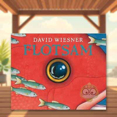 【预售】絮状物1 Flotsam: 1 原版英文儿童绘本进口书籍图书外版正版