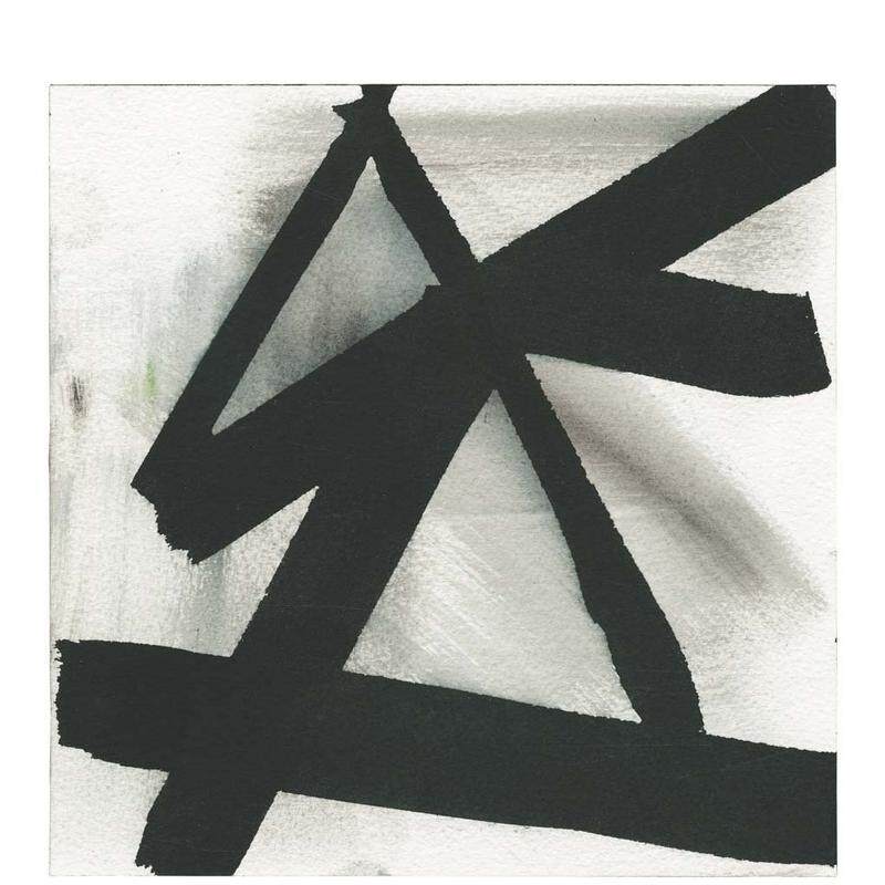 【现货】露易丝·菲什曼 Louise Fishman 英文进口原版艺术画册画集Cheim & Read
