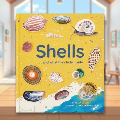 【现货】【翻翻书】贝壳跟你说什么Shells... and what they hide inside英文儿童趣味3-6岁纸板书Helen Scales  Sonia Pulido进口