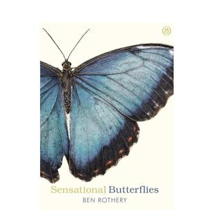 【现货】惊艳蝴蝶图鉴 Sensational Butterflies 原版英文儿童绘本进口书籍图书外版正版