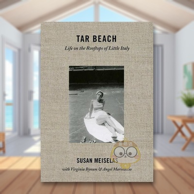 【预售】苏珊·梅塞拉斯：柏油滩：1940-1970年小意大利屋顶上的生活 Susan Meiselas: Tar Beach? 原版英文摄影作品集进口书籍图