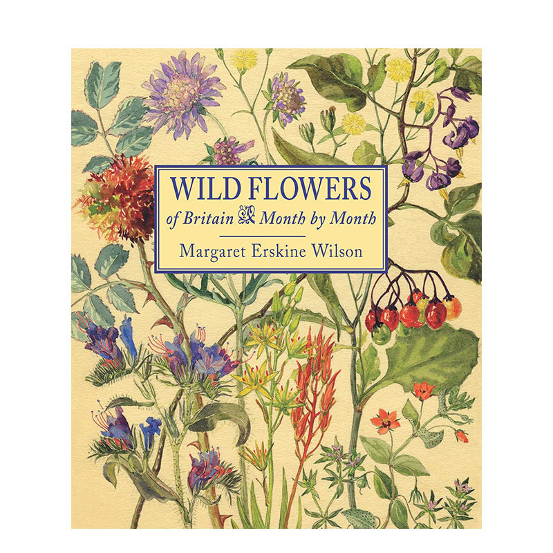 【预售】英文原版 英国的野生花卉：逐月介绍Wild Flowers of Britain: Month by Month 英文艺术插图 进口原版书籍 金哈达图书 书籍/杂志/报纸 原版其它 原图主图