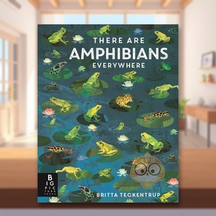 【现货】随处可见的两栖动物 【Britta Teckentrup Everywhere】There Are Amphibians Everywhere 原版英文儿童绘本进口书籍图书