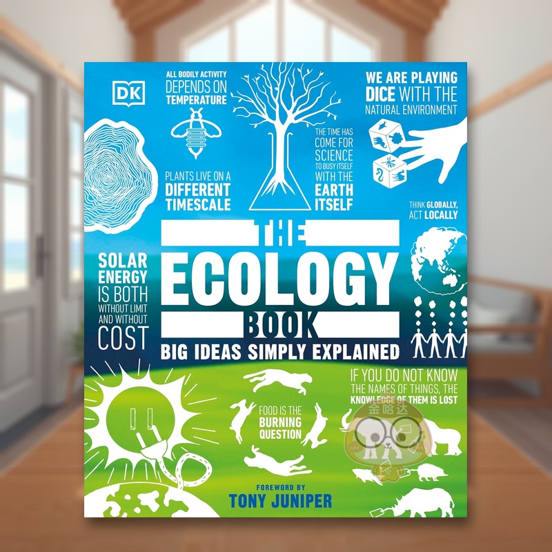 经济之书：大道至简 The E