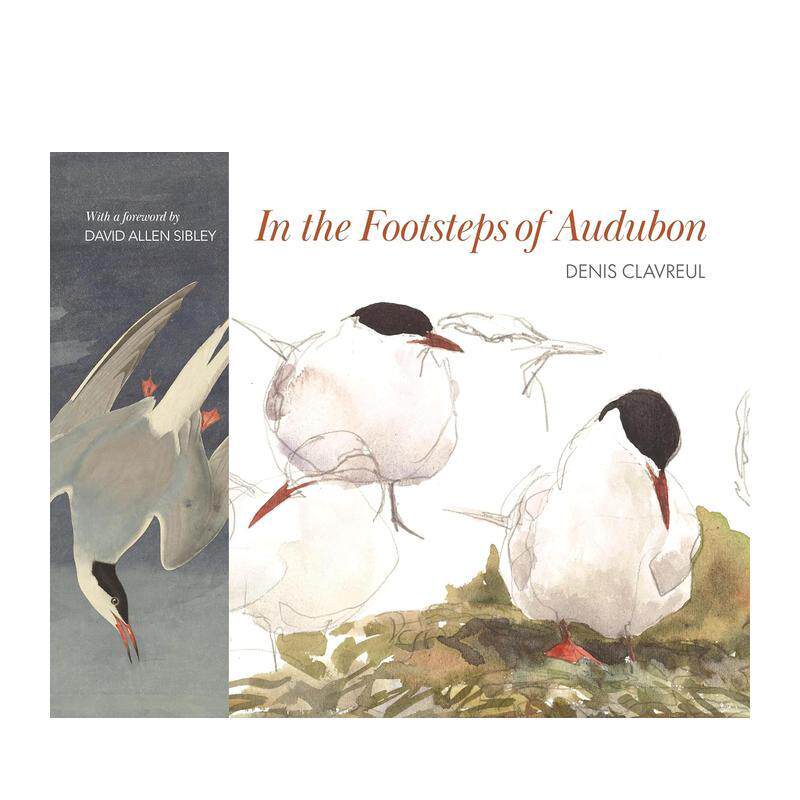 【预售】In the Footsteps of Audubon,追随奥杜邦的脚步 英文原版图书籍进口正版 John James Audubon, Denis Clavreul