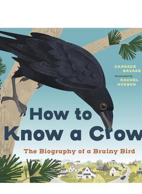 【现货】如何了解乌鸦 How to Know a Crow 原版英文儿童绘本进口书籍图书外版正版