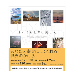 それでも世界は美しい 摄影集书籍 现货 人物 宠物 进口日文原版 摄影精选集：即便如此世界依旧美丽 风景