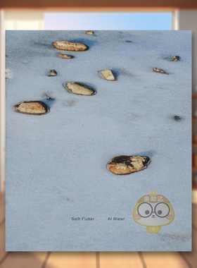 【现货】在水中At Water英文摄影师专辑Seth Fluker平装Hassla Books进口原版书881539书籍图书外版正版