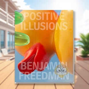 英文摄影作品集 正版 幻象 Positive Illusions Freedman 积极 Benjamin 家庭公路旅行进口书籍图书外版 原版 预售