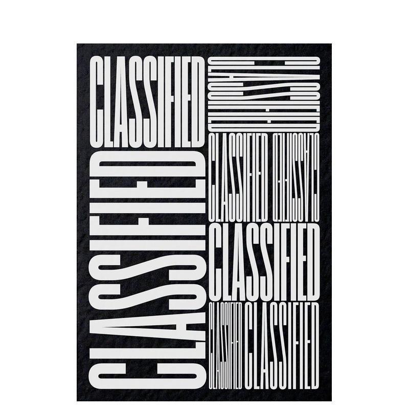 【现货】分类广告：美国南方小镇当地广告视觉实录Classified: Local Ads from America’s Small Towns英文进口原版平面设计图书