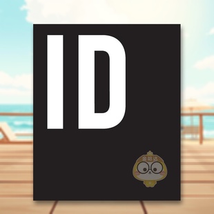 指南 The 预售 视觉品牌 Branding 英文字体图案标志设计进口书 Visual Identity 标识设计 Guide Definitive Designed 原版