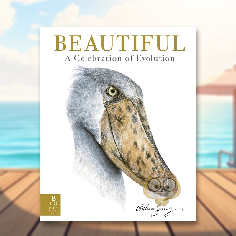 美丽:进化的庆典 Beauti