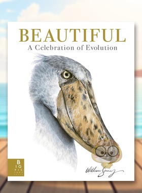 【现货】美丽进化的庆典BeautifulA Celebration of Evolution英文儿童绘本动物生态环保9-12岁精装William Spring William Sprin