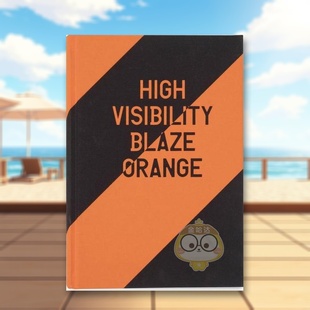 火焰橙色 G书 Wright Visibility 预售 高能见度 Blaze 外版 英文摄影摄影师专辑进口原版 Jaclyn 书精装 Orange 14岁以上High