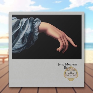 Jesse Mockrin Echo 英文艺术画册画集进口书籍图书外版 杰西·莫克林：回声 原版 正版 预售