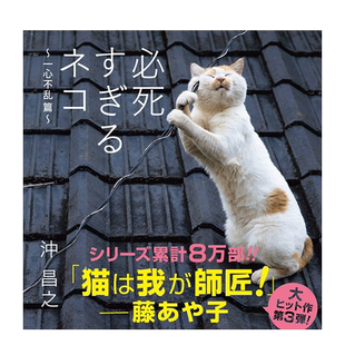 【现货】沖昌之摄影集 绝望猫咪 必死すぎるネコ~一心不乱篇 日文宠物猫猫摄影作品集原版进口艺术画册书籍 日本猫咪摄影师