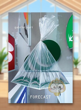 【预售】墨西哥雕塑家Gabriel Kuri：预测英文艺术家艺术工作室进口原版外版书简装14岁以上Gabriel Kuri: ForecastGabriel Kuri书