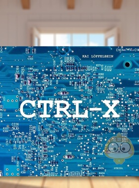 【预售】剪切:电子垃圾场图集 Kai Loeffelbein:Ctrl-X.A ography of e-waste 原版英文摄影作品集进口书籍图书外版正版