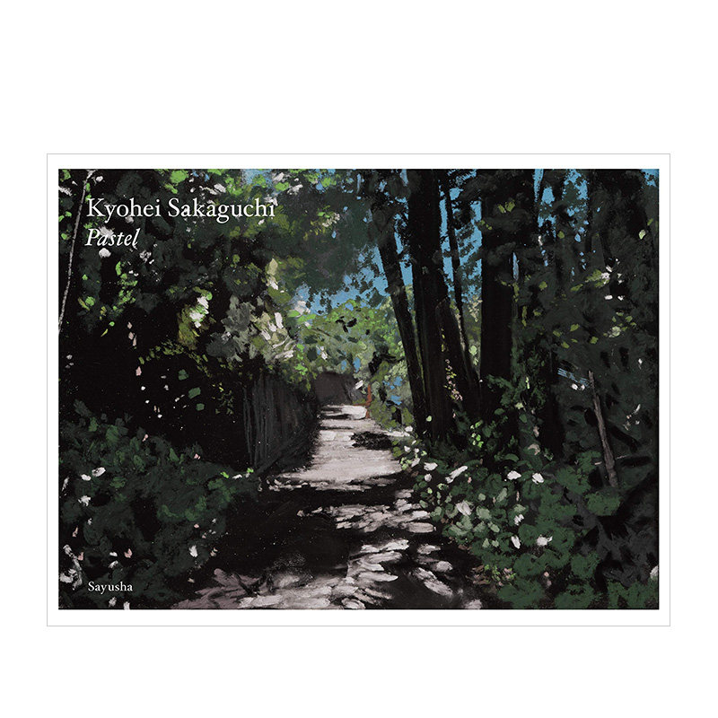 【现货】pastel 坂口恭平 色粉画 进口日文原版 艺术画作作品鉴赏
