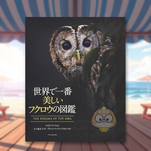 日文艺术图鉴日版 世界美丽猫头鹰图鉴 进口原版 图书外版 図鑑 书籍世界で一番美しいフクロウ 预售