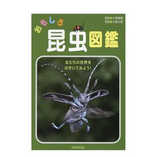 原版 おもしろ昆虫図鑑 趣味昆虫图鉴 日文艺术 预售
