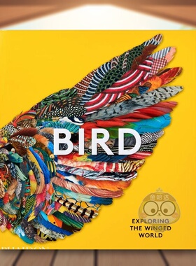 【预售】鸟:探索有翅膀的世界 科学科普图鉴画册 英文原版phaidon出版进口图书 Bird: Exploring the Winged World书籍外版正版