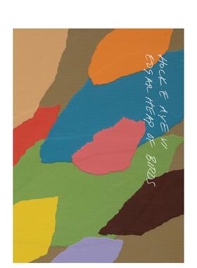 【预售】霍克·E·阿耶·维·埃德加·希普奥伯兹：荣耀颂歌 Hock E Aye Vi Edgar Heap of Birds 原版英文艺术画册画集进口书籍图