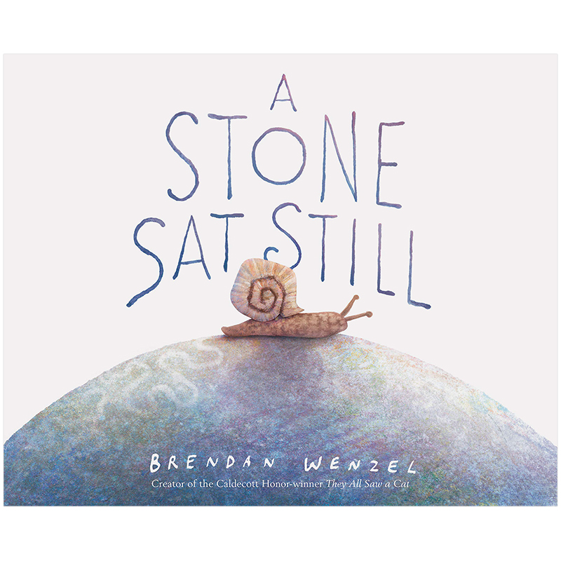 【现货】A Stone Sat Still一动不动的石头 Brendan Wenzel英文绘本