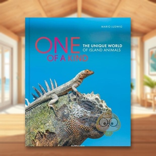 影集自然景观进口原版 现货 独特世界英文 World Unique 书精装 独一无二：岛屿动物 Kind 14岁以上One Island The